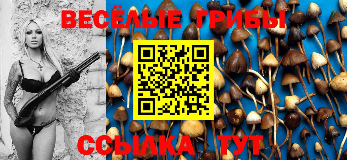 Псилоцибиновые грибы Cubensis  Галлюциногенные грибы мухоморы  Вход с VPN  Когалым 